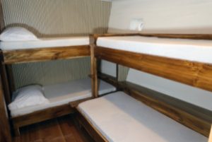 Dolphin Cabin (Lower Deck)